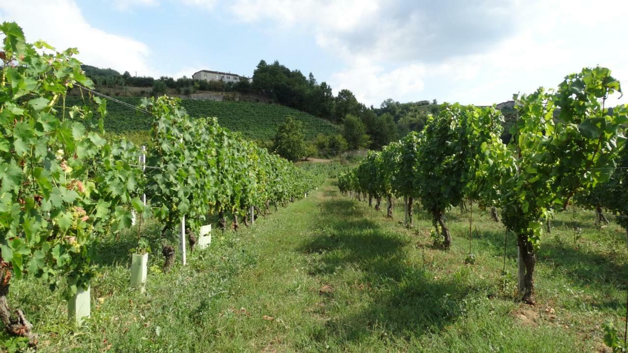 Corte Di Langa Cossano Belbo Kültér fotó